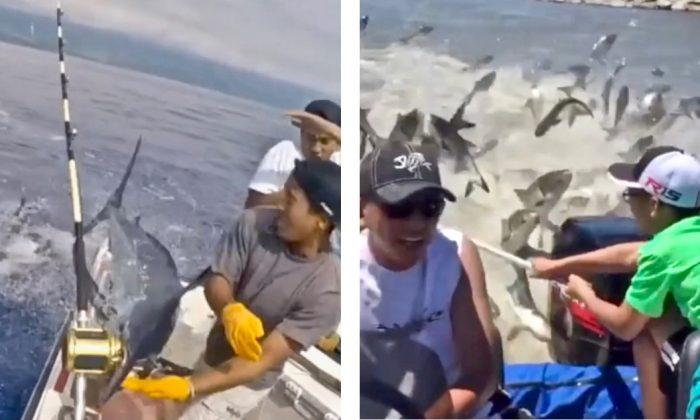 Insane Fishing Moments Caught on Camera
