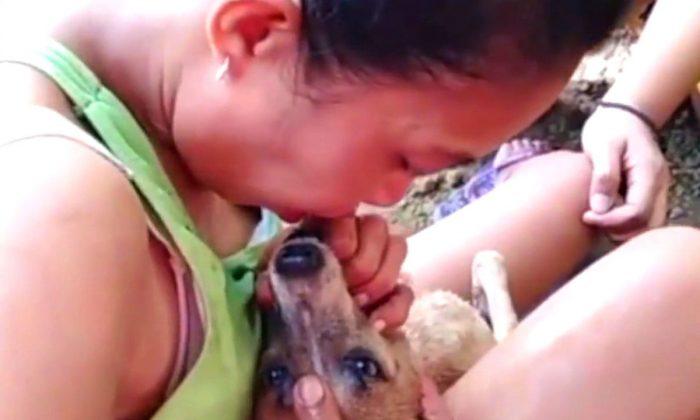 Dog Stopped Breathing During Labor, Miraculously Brought Back to Life by a Passerby