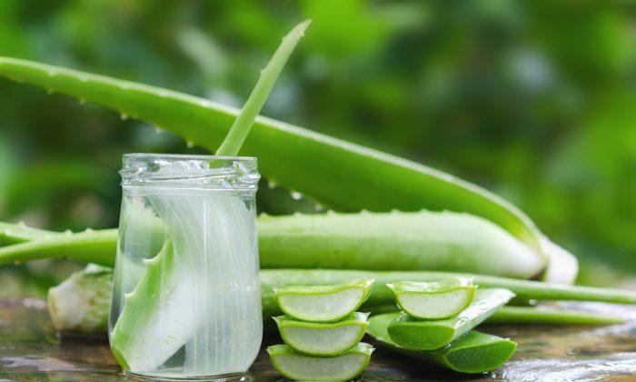 9 Health Benefits of Aloe Vera–#4 Fights Tumor and Boosts Immune System