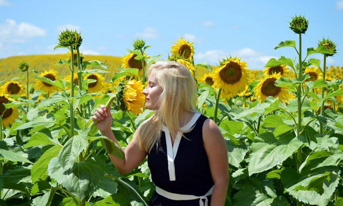Woman Records Sunflowers ‘Singing,’ It Sounds Like Music From Other Dimension