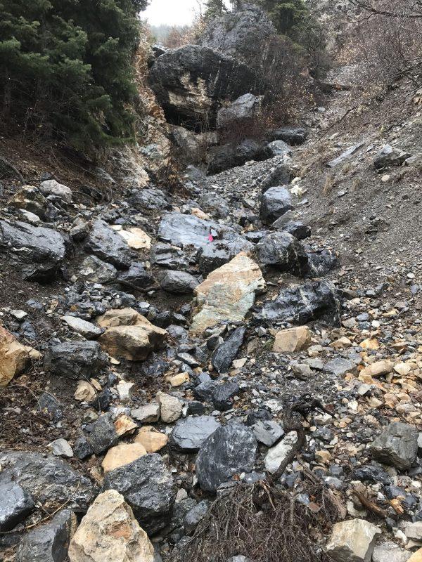 The ravine where human remains were found in American Fork Canyon on April 14, 209. (Utah State Sheriff's Office)