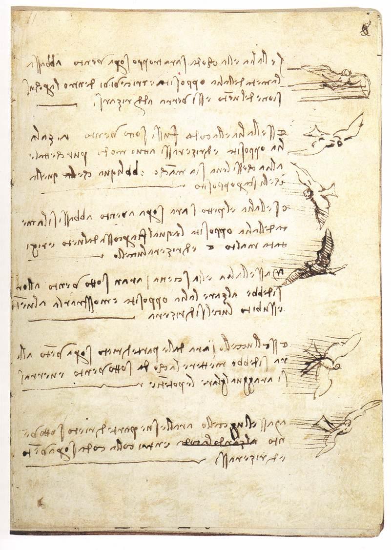 Leonardo's codex on the flight of birds. (Public Domain)
