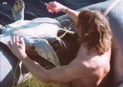 Guy Jumps Off His Boat to Save Sea Turtles Trapped in Fishing Nets