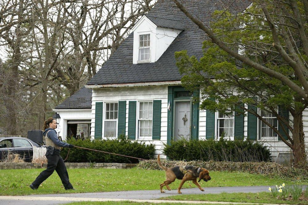 A bloodhound K-9 officer sniffs the ground in front of the home of Andrew "AJ" Freund in Crystal Lake, Ill., on April 18, 2019. (Stacey Wescott/Chicago Tribune via AP)