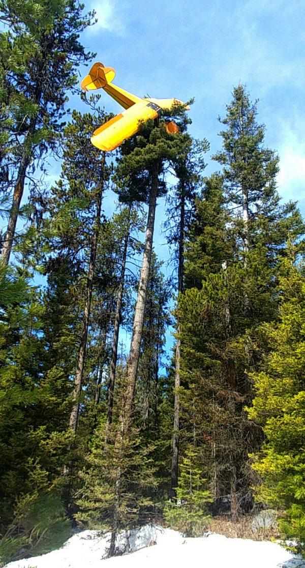 This undated photo provided by the Valley County Sheriff's Office shows a small plane where it came to rest at the top of a tree near the resort town of McCall, Idaho, on April 22, 2019. (Undersheriff Jason Speer/Valley County Sheriff's Office via AP)