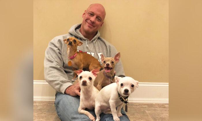 Heartbroken Man Who Was Saved by a Chihuahua Goes on a Mission Rescuing Over 50 Tiny Dogs
