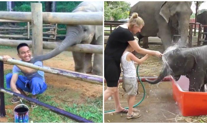 Elephant Comes up Behind Painting Man, What It Does Next Is Playful