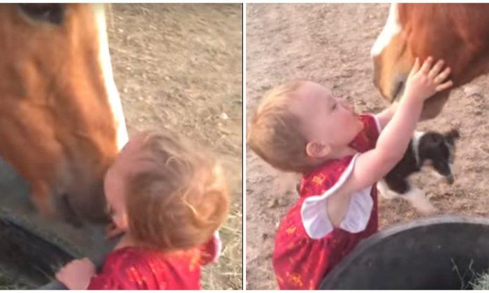 Babies Give Goodnight Kisses to Their Animal Best Friends