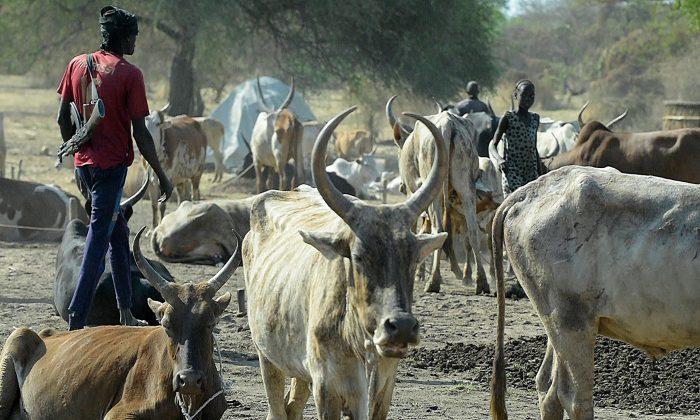 Woman Beaten to Death by Family for Refusing to Marry for 40 Cows