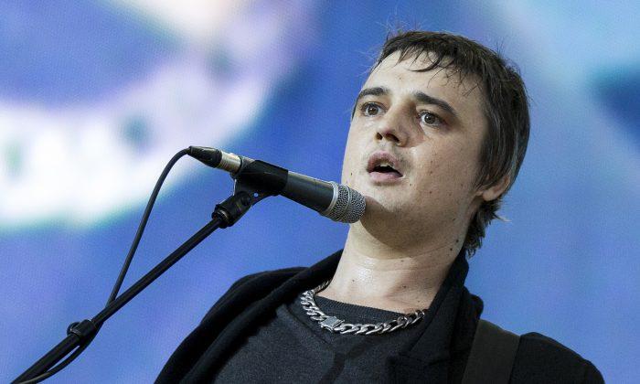 British Musician Pete Doherty Hospitalized After Getting Stabbed by Hedgehog Spike