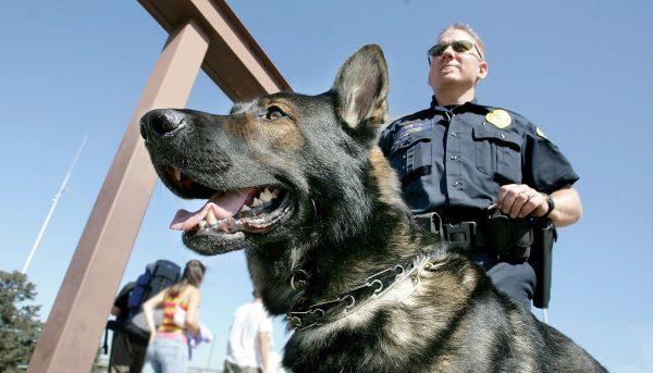 Bay Area Rapid Transit police officer Jason Ledford patrols with his bomb-sniffing dog Andy at the Oakland Coliseum station in Oakland, Calif., Aug. 11, 2005. (Getty Images/Justin Sullivan)