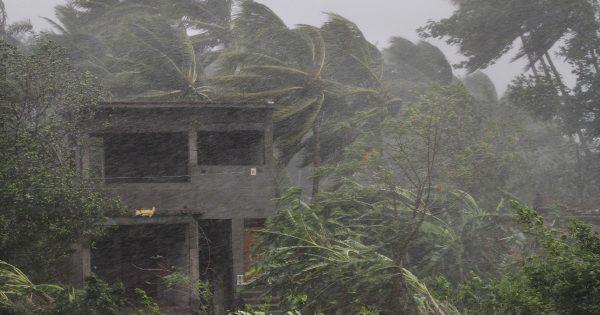 An abandoned house and trees bend with gusty winds ahead of the landfall of cyclone Fani on the outskirts of Puri, in the Indian state of Odisha on May 3, 2019. (AP Photo)