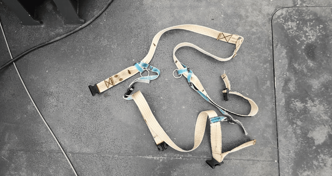 The harness removed from the beluga whale. (The Norwegian Directorate of Fisheries’ Sea surveillance Service)