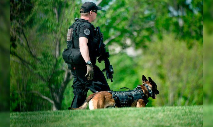 K-9 Ballistic Vest Fund Supplies Dozens of Bulletproof Vests to Police Dogs Across USA
