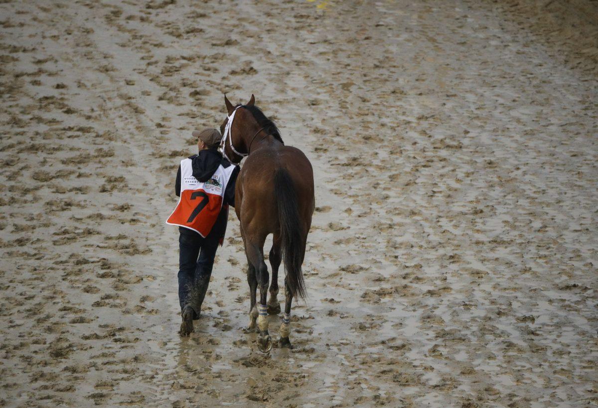 Maximum Security is walked off the track after being disqualified for the 145th running of the Kentucky Derby horse race at Churchill Downs in Louisville, Ky., on May 4, 2019. (Charlie Riedel/AP Photo)