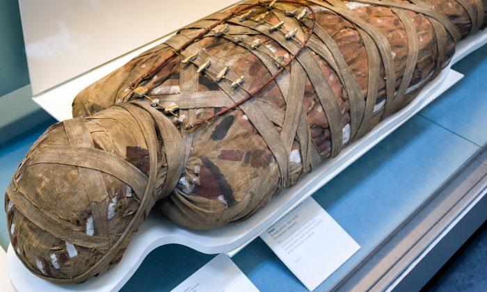 2,500-Yr-Old Mummy With Elaborate Tattoos & Bag of Weed Died of Breast Cancer, Scientists Say