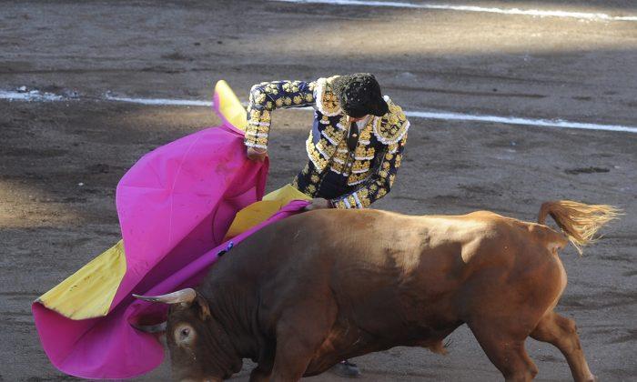 Video Shows Spanish Bullfighter Wiping Away Bull’s Tears Before Killing It