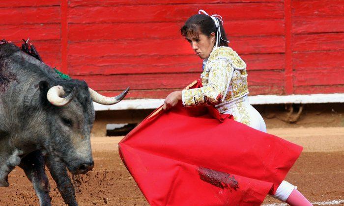 Female Bullfighter Gored in the Face in Mexico Arena