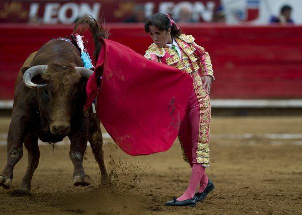 Mexican bullfighter Hilda Tenorio performs at Plaza Mexico bullring in Mexico City on Feb. 28, 2010. (STR/AFP/Getty Images)