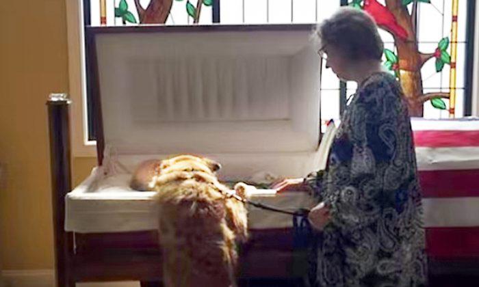Dog Leans Over Beloved Owner’s Casket, How He Bids Farewell Has Everyone in Tears