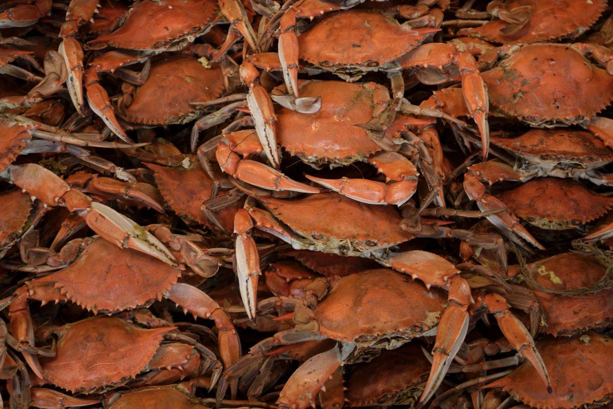 Cooked blue crabs are seen at the Maine Avenue Fish Market along the Potomac River in Washington on April 21, 2016. At the end of the fiscal year, federal bureaucrats splurge on luxury items like crab. (BRENDAN SMIALOWSKI/AFP/Getty Images)