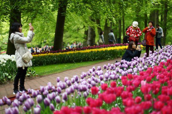 Visitors admire the floral displays on show at Keukenhof Gardens in Lisse, Netherlands, on May 1, 2019. (Dean Mouhtaropoulos/Getty Images)