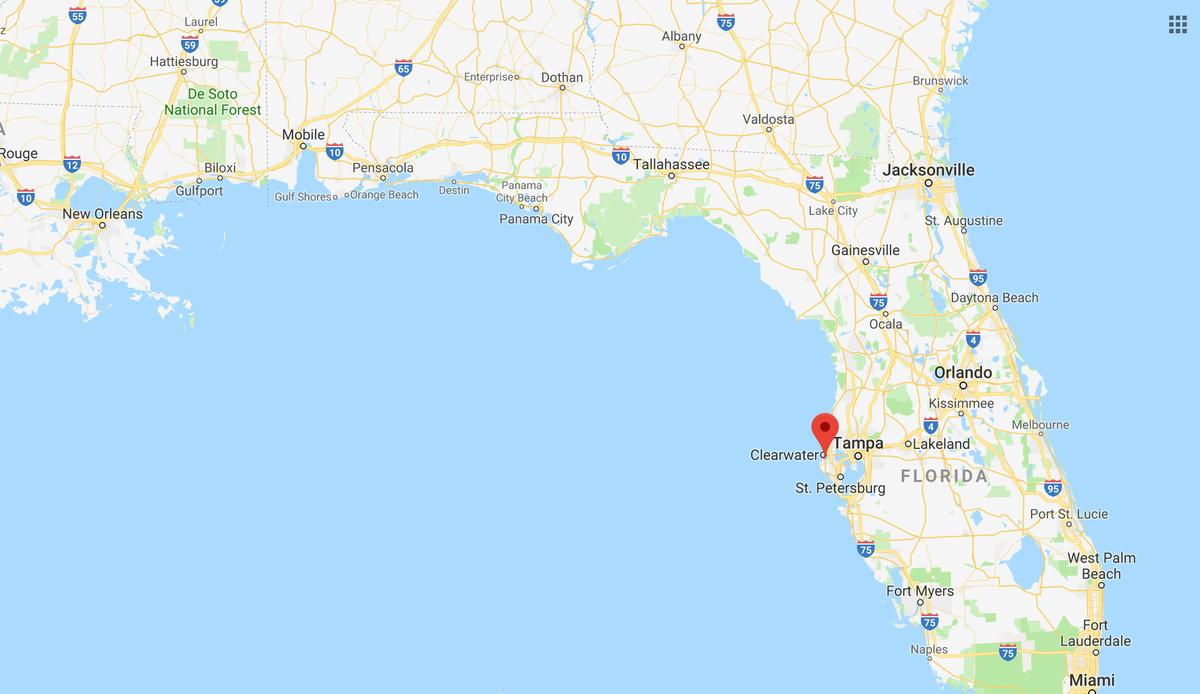 Pinellas County, Florida (Screenshot/Googlemaps)