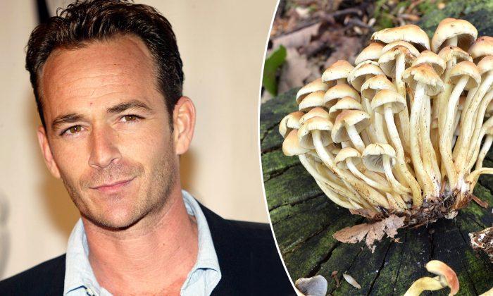 Shock Reveal: Luke Perry’s Daughter Talks About Her Dad’s ‘Eco-Friendly’ Burial Outfit