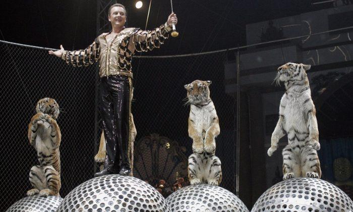Mayor Bans Circuses in Russia
