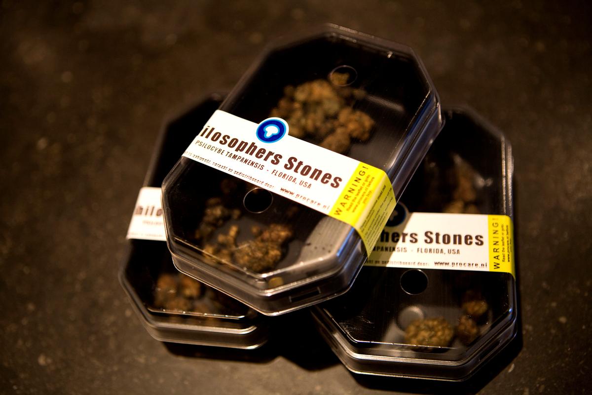 Boxes containing magic mushrooms sit on a counter at a coffee and smart shop in Rotterdam Nov. 28, 2008. (Jerry Lampen (Netherlands)/Reuters)