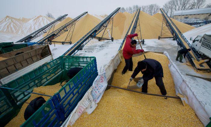 Why Did Beijing, Tianjin, and Hebei Sign Food Security Agreement?