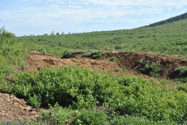 A mine field abandoned by Chinese company LIjin Mining Ltd. on May 7, 2019, after the high court in Migori, Kenya, ruled that they should stop mining gold in the area. (Dominic Kirui for The Epoch Times)
