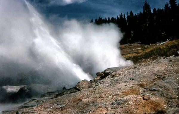 The Ledge Geyser is the second largest geyser in the Norris Geyser Basin in Yellowstone National Park. (National Park Service)