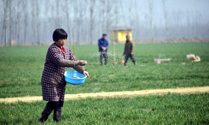 What Lurks Behind China’s Food Crisis