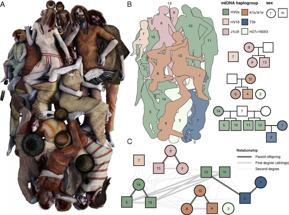 Schematic representation of the burial and pedigree plots showing kinship relations between the Koszyce individuals found in the mass burial site. (<a href="https://www.pnas.org/content/early/2019/05/10/1820210116/tab-figures-data">Proceedings of the National Academy of Sciences of the United States of America</a>)
