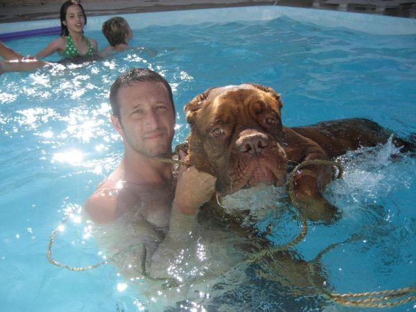 Kyle Schwab taking a dip in the pool with a rescued dog. (Courtesy of Kyle Schwab)