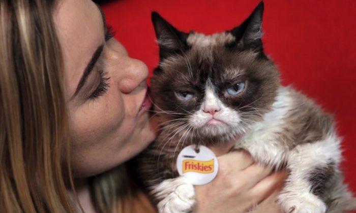 Internet Sensation Grumpy Cat Has Died Aged 7