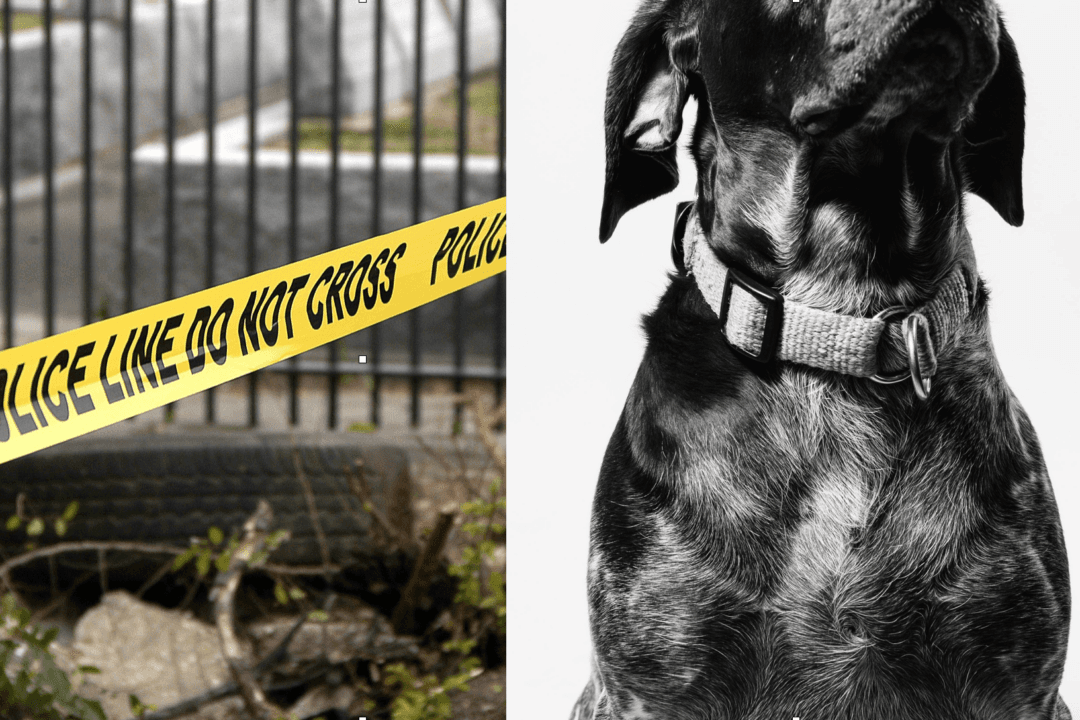 Multiple Dogs Found Killed, Tortured in Vermont, $1,000 Reward for Tips