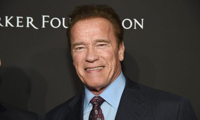 Arnold Schwarzenegger Got Kicked in the Back While in South Africa