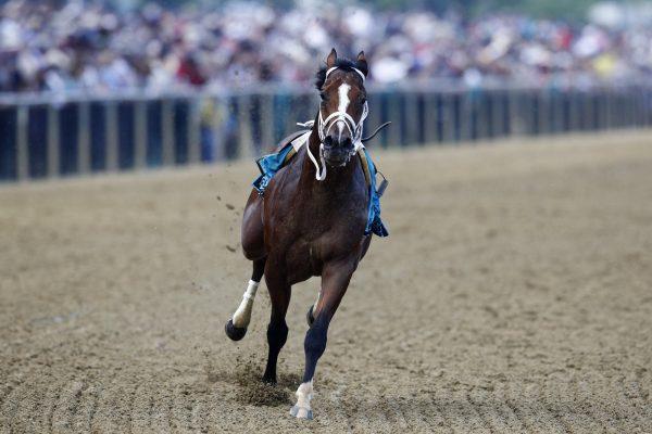Bodexpress runs in the 144th Preakness Stakes horse race without John Velazquez at Pimlico Race Course in Baltimore, on May 18, 2019. (Nick Wass/Photo via AP)