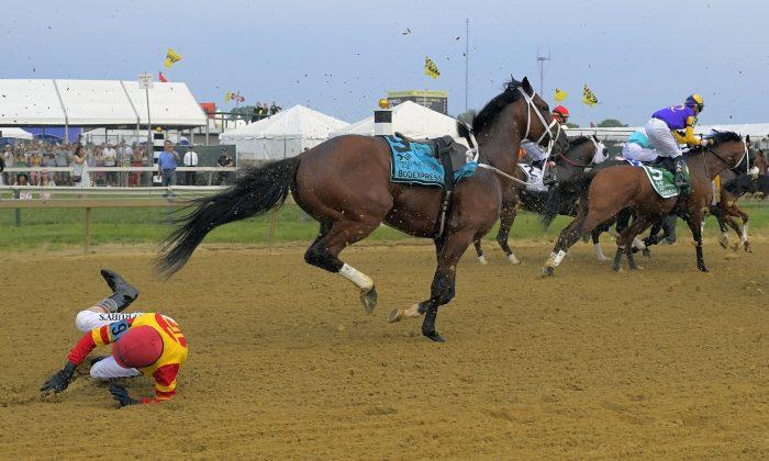 Horsing Around: Riderless Colt Races to Preakness Finish