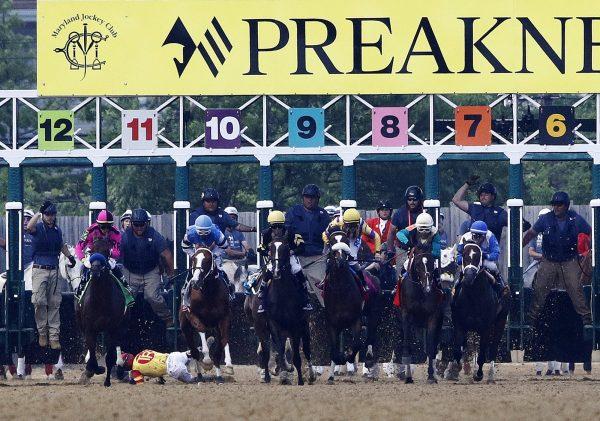 John Velazquez falls off Bodexpress at the starting gate during the 144th Preakness Stakes at Pimlico Race Course in Baltimore, on May 18, 2019. (Nick Wass/Photo via AP)