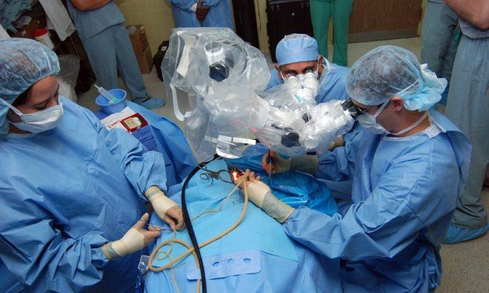 Major Surgery Prescribed to Boost Australia’s Productivity