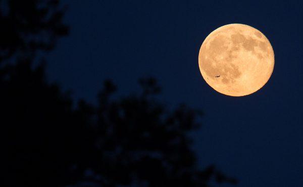 A plane flies in front of a full moon in Arlington, Va., on July 31, 2015. (NASA/Joel Kowsky)