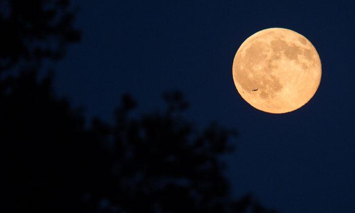 Rare Blue Moon Inspires Beauty and Enlightenment