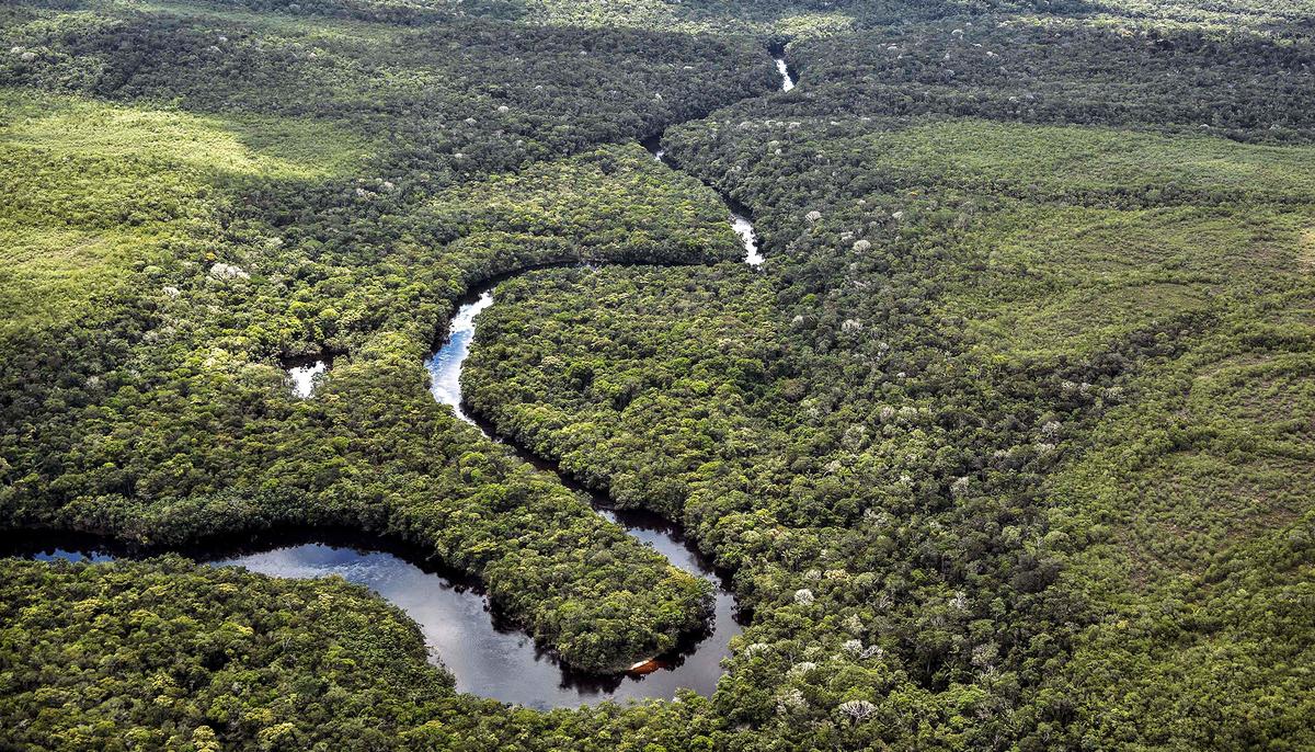 Amazon Tribe Saves Millions of Acres of Rainforest After Beating Big Oil in Court Battle