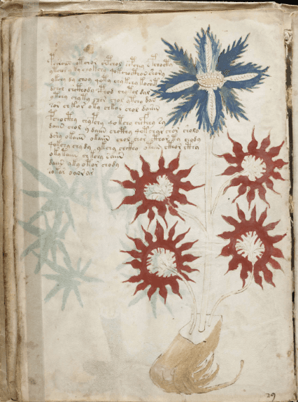A page from the mysterious Voynich manuscript. <a href="https://en.wikipedia.org/wiki/Voynich_manuscript#/media/File:Voynich_Manuscript_(32).jpg">(Public Domain/Wikimedia)</a>