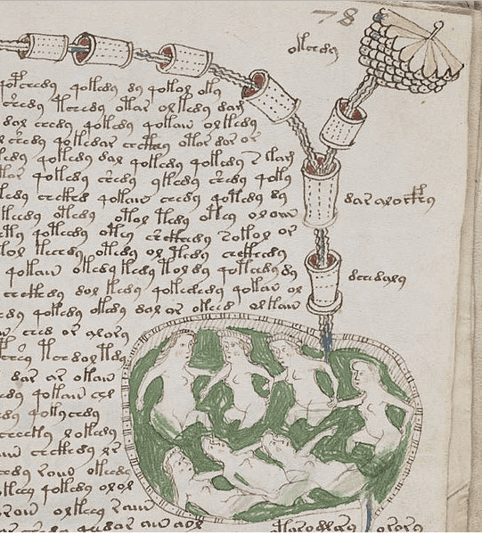Detail from page 78r of Voynich Manuscript depicting the "biological" section. <a href="https://en.wikipedia.org/wiki/Voynich_manuscript#/media/File:Voynich_manuscript_bathtub2_example_78r_cropped.jpg">(Public Domain/Wikimedia)</a>