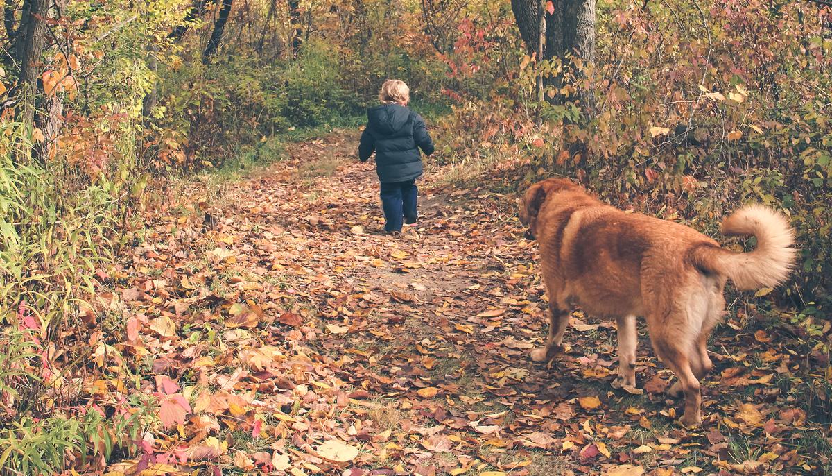 Dad Realizes Dog Saved His Toddler When He Sees What’s Coiled Up Nearby the Car