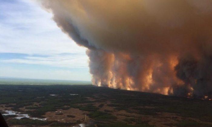 Alberta Says 10,000 People Are out of Their Homes Because of Wildfires